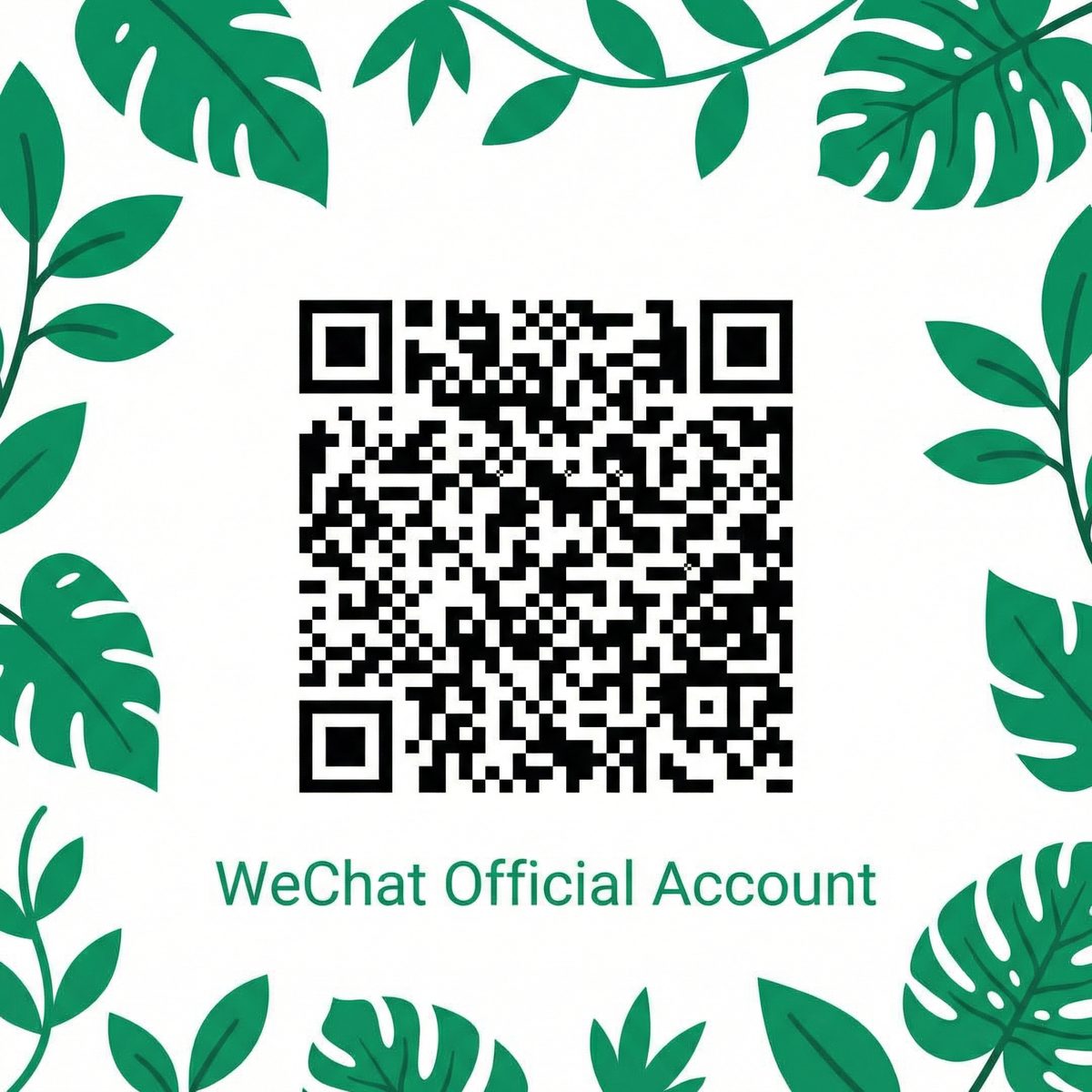 海角网公众号